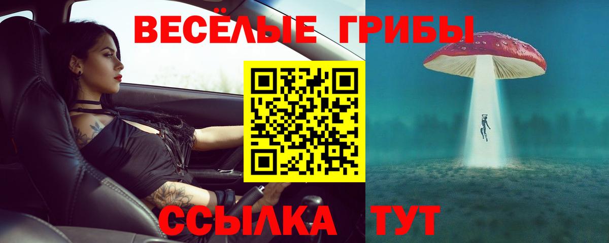 Братск  Галлюциногенные грибы прущие грибы  купить наркотик  Вход с VPN 