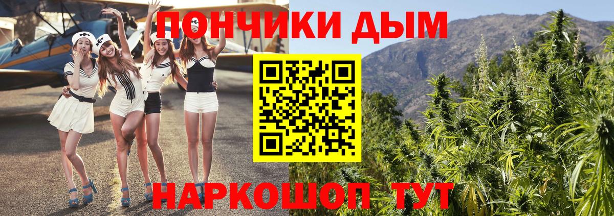 Бошки марихуана семена  Бошки Шишки план  Вход с VPN  Канабис ГИДРОПОН  Братск 